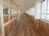 新栄小学校校舎耐震補強・大規模改造工事